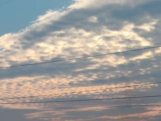 1000002391