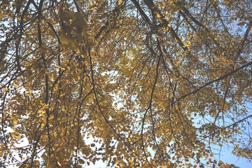 P1020768