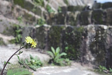 P1030190