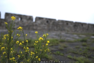 P1040264