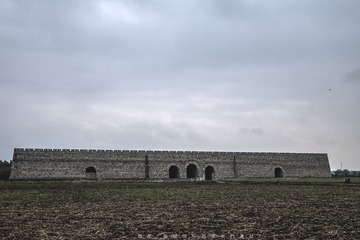 P1040271