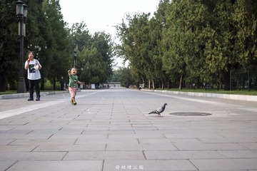 P1040718