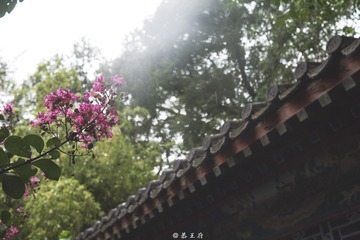 P1040746