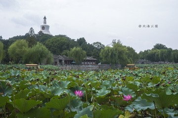P1040854