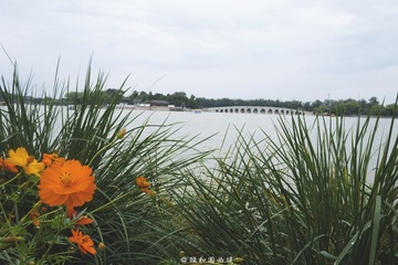 P1040941