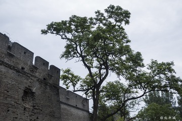 P1040972