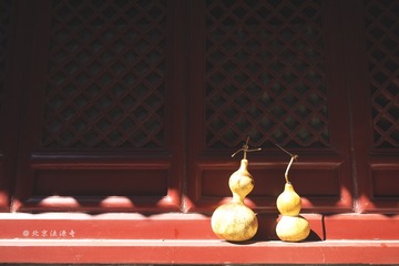 P1050048