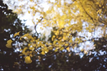 P1060627