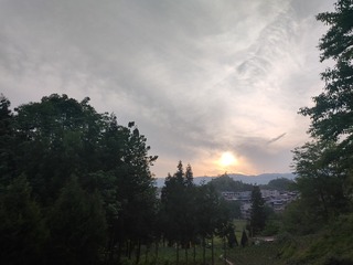 1000076811