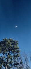 1000037662