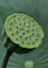 1000008471