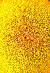 15941