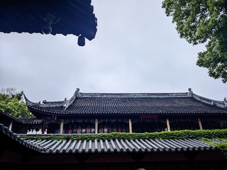 1000068268
