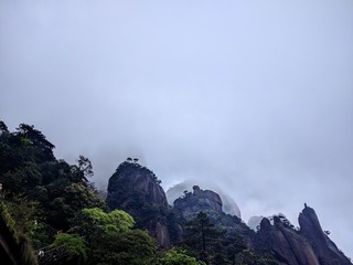 1000068225