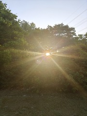 1000010412