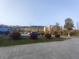 1000034382