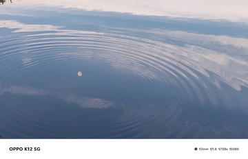 1000011483