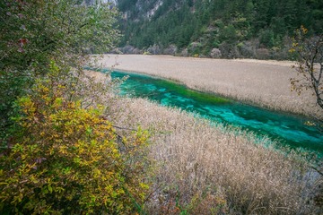 20141112-DSC00190 芦苇海