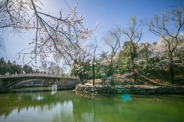 20150321-DSC00143