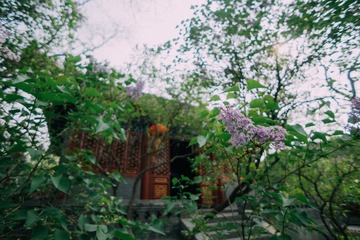 20150411-DSC00056