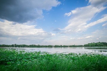 20150613-DSC00076