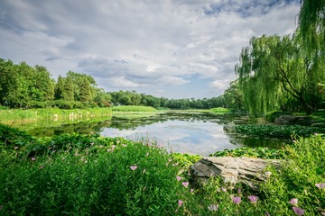 20150613-DSC00027