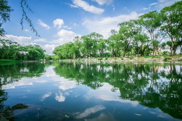 20150613-DSC00023