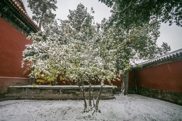 20151122-DSC00073