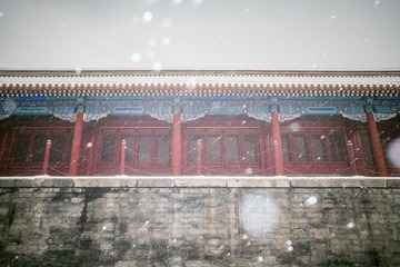 20151122-DSC00006