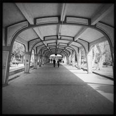 HIP_323590515.408260.jpg