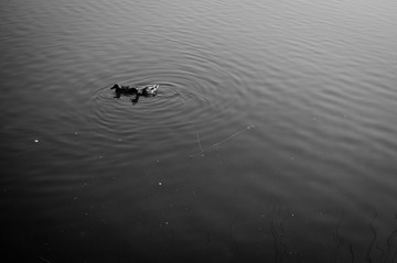 20130303-DSC00010.jpg