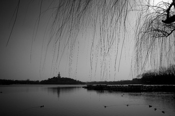 20130303-DSC00008.jpg