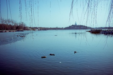 20130303-DSC00003.jpg