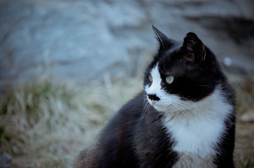 20130310-DSC00033.jpg