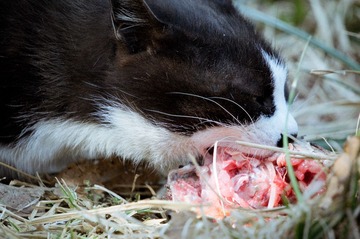 20130310-DSC00045.jpg