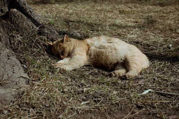 20130310-DSC00018.jpg