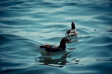 20130310-DSC00001.jpg