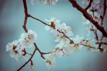 20130331-DSC00011.jpg