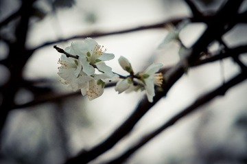 20130331-DSC00045.jpg