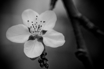 20130404-DSC00006.jpg