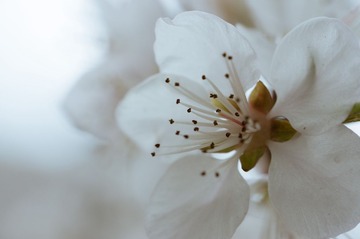 20130404-DSC00039.jpg