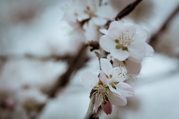20130404-DSC00027.jpg