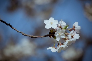 20130413-DSC00018.jpg
