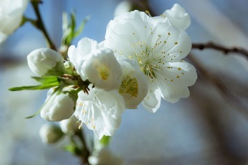 20130413-DSC00033.jpg