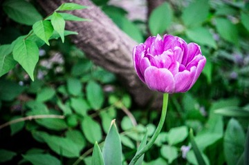 20130507-DSC00095.jpg