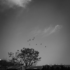 20130512-DSC00001.jpg