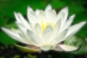 20130623-DSC00041.jpg