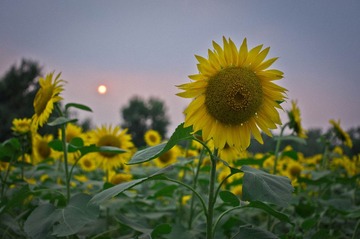 20130706-DSC00159.jpg