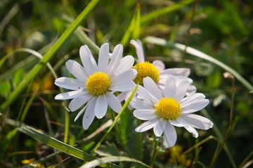 20130810-DSC00075.jpg