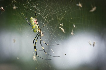 20130920-DSC00010